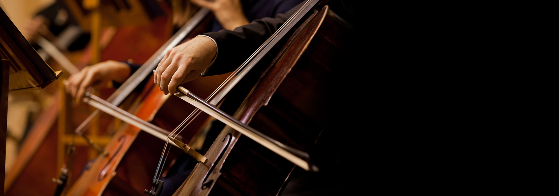 Orchestra