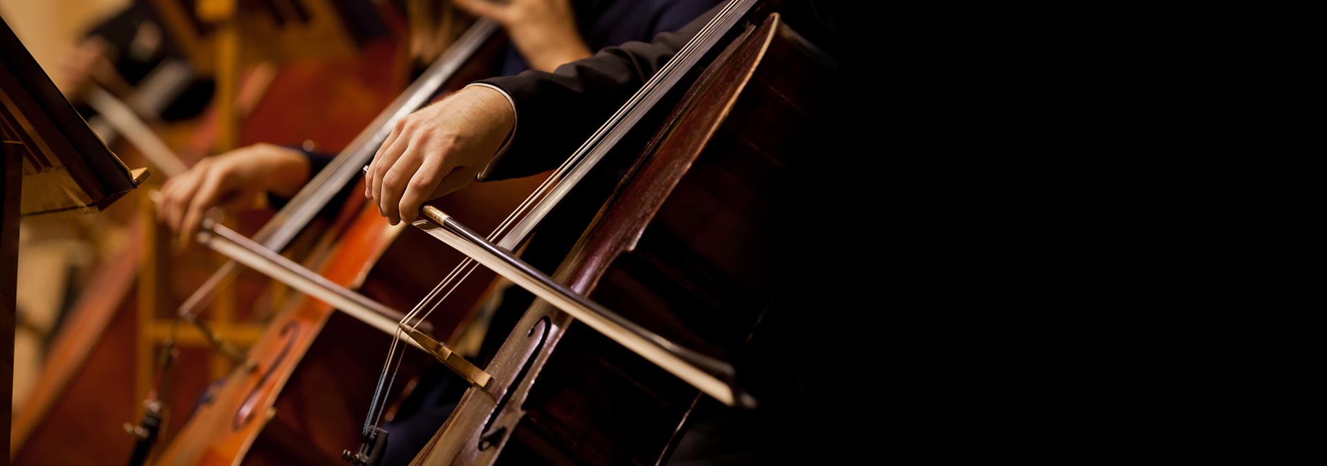 Orchestra
