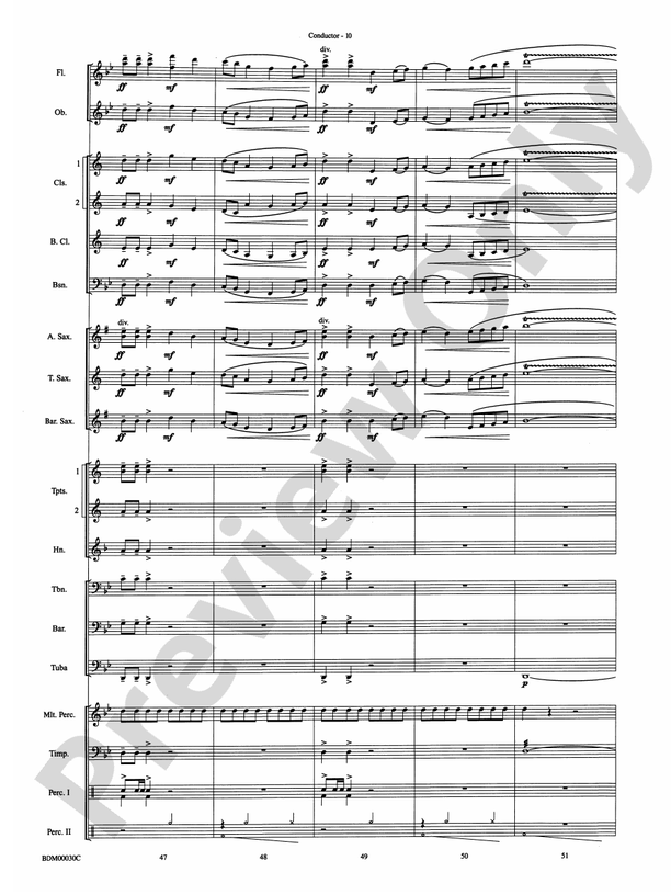 The Great Locomotive Chase