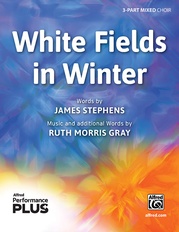 White Fields in Winter