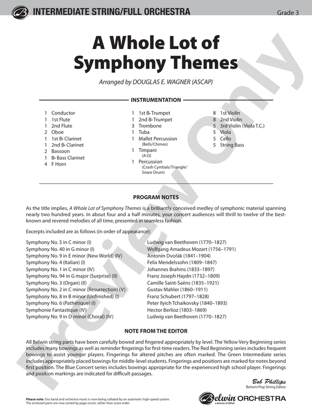 A Whole Lot of Symphony Themes