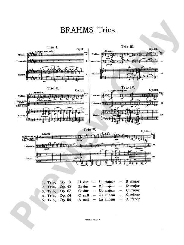 Brahms: Trio No. 1 in B Major, Op. 8