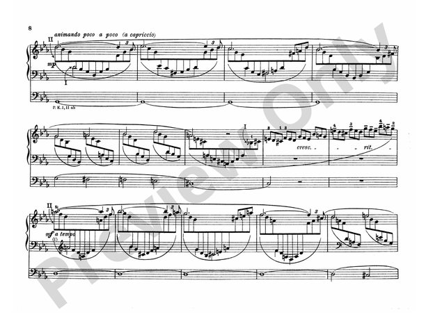 Liszt: Organ Works, Volume II: Organ Comb Bound Book: Franz Liszt - Digital  Sheet Music Download