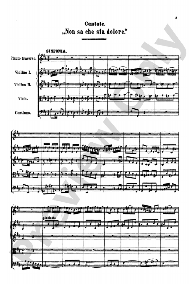 Bach: Cantatas Nos. 209-211, Volume 60
