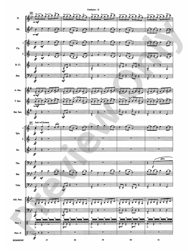 The Great Locomotive Chase