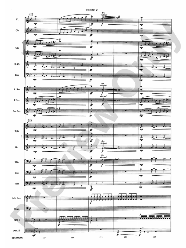 The Great Locomotive Chase