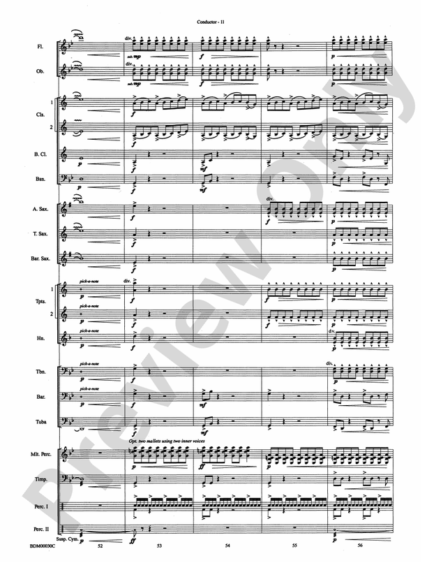 The Great Locomotive Chase