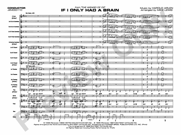 If I Only Had A Brain Phoenix University www.alfred.com