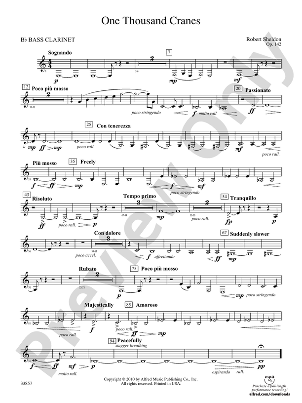 b flat bass clarinet