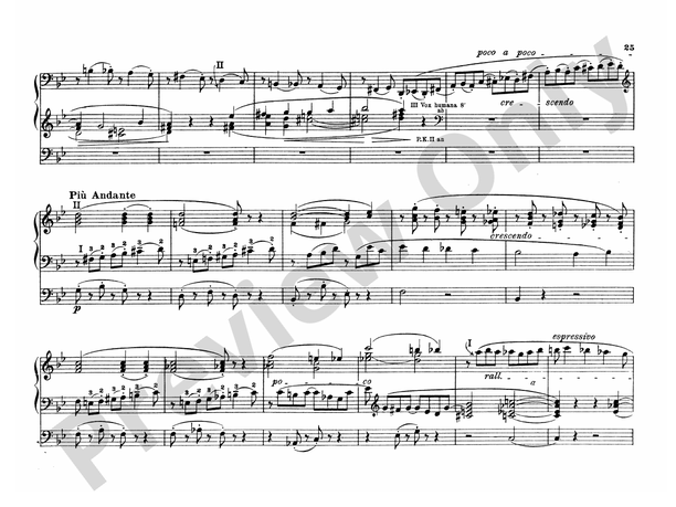 Liszt: Organ Works, Volume I: 2. Evocation à la Chapelle Sixtine