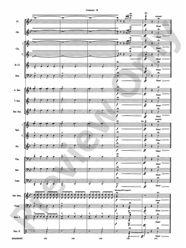 The Great Locomotive Chase