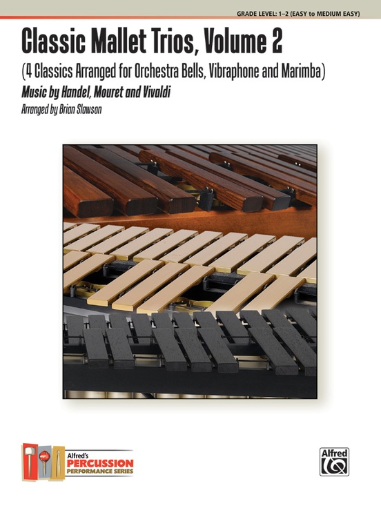 Friction Mallet Set With Soundpoet Mallet And EGong Wand
