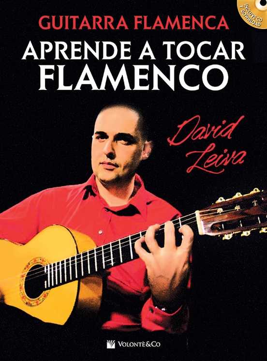 Aprende a Tocar Flamenco
