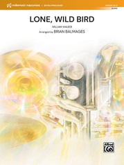 Lone, Wild Bird