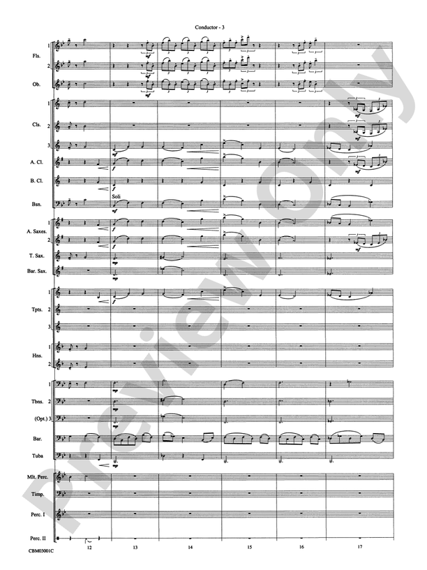 Harry's Wondrous World (from Harry Potter and the Chamber of Secrets)