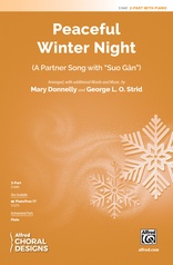 Peaceful Winter Night