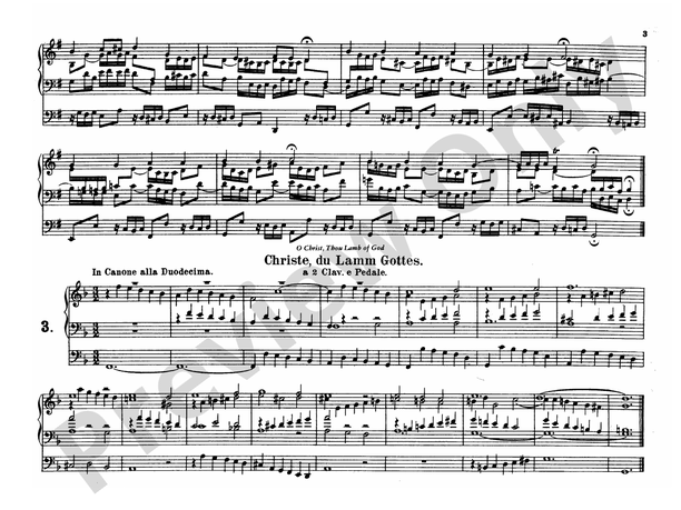 Bach: Complete Organ Works, Volume V