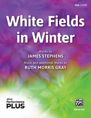 White Fields in Winter