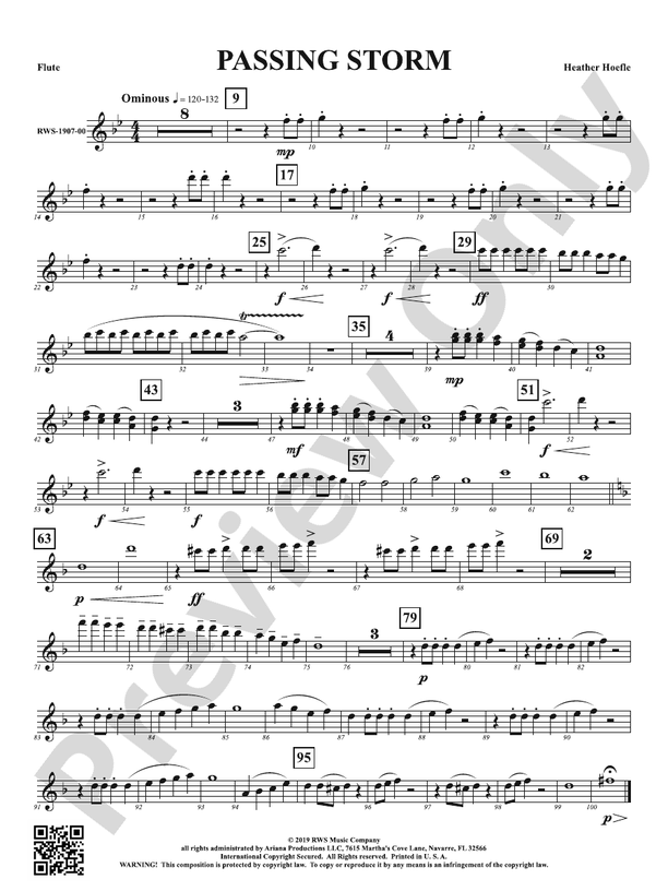 Passing Storm: 1st Flute: 1st Flute Part: Heather Hoefle - Digital ...