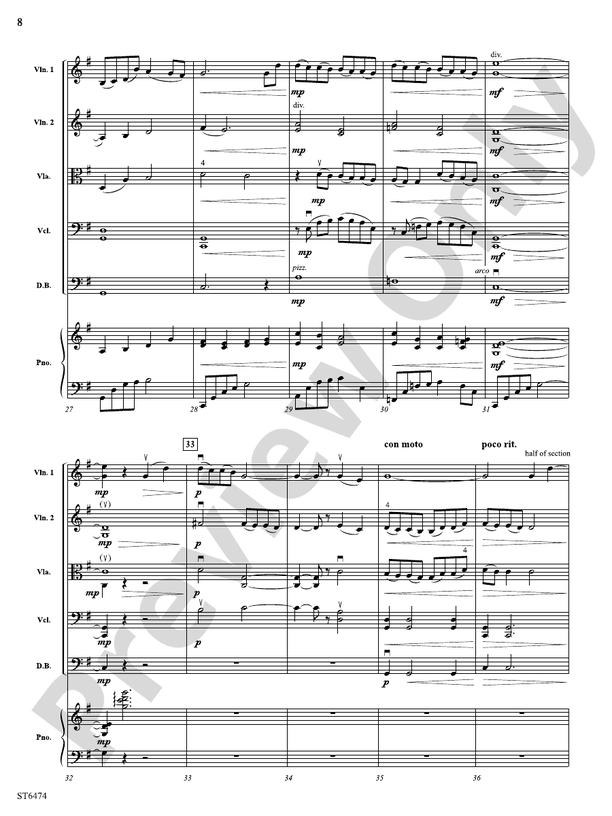 Struggle in the Shadows