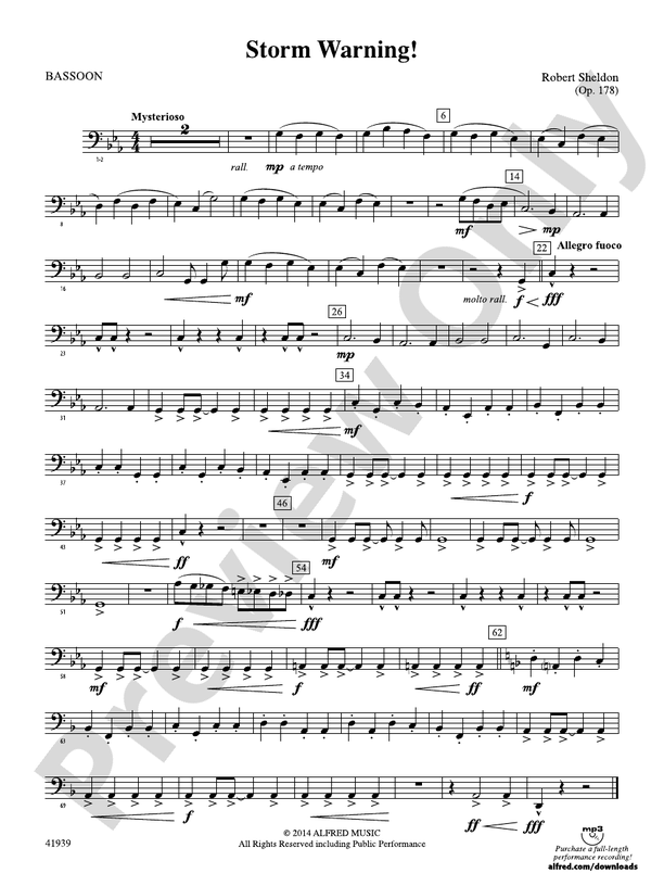 Storm Warning!: Bassoon: Bassoon Part - Digital Sheet Music Download