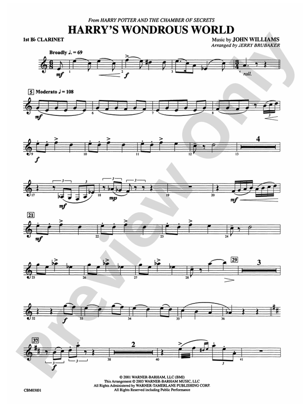 Harry's Wondrous World (from Harry Potter and the Chamber of Secrets