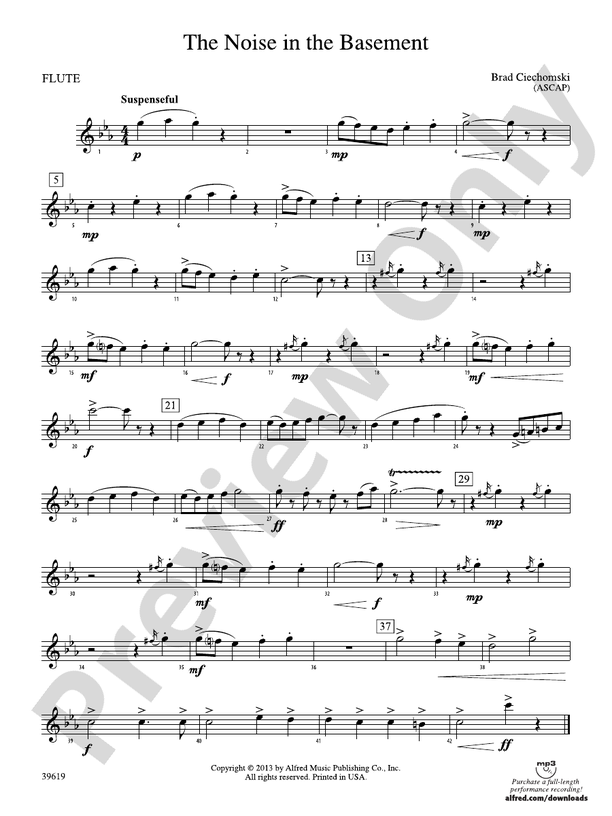 The Noise in the Basement: Flute