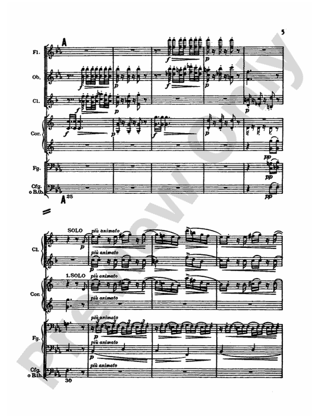 Strauss: Serenade for 13 Winds, Op. 7