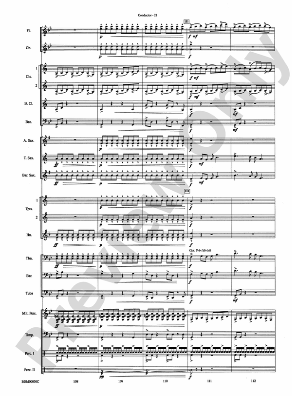 The Great Locomotive Chase