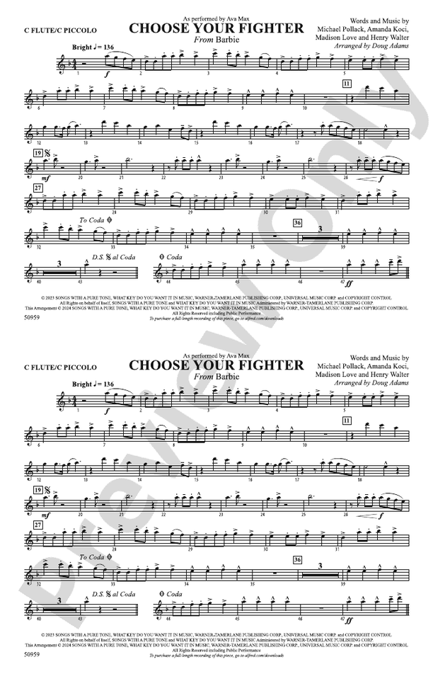 Choose Your Fighter: Flute: Flute Part - Digital Sheet Music Download