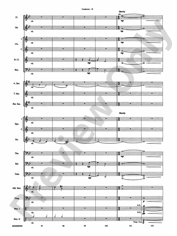 The Great Locomotive Chase