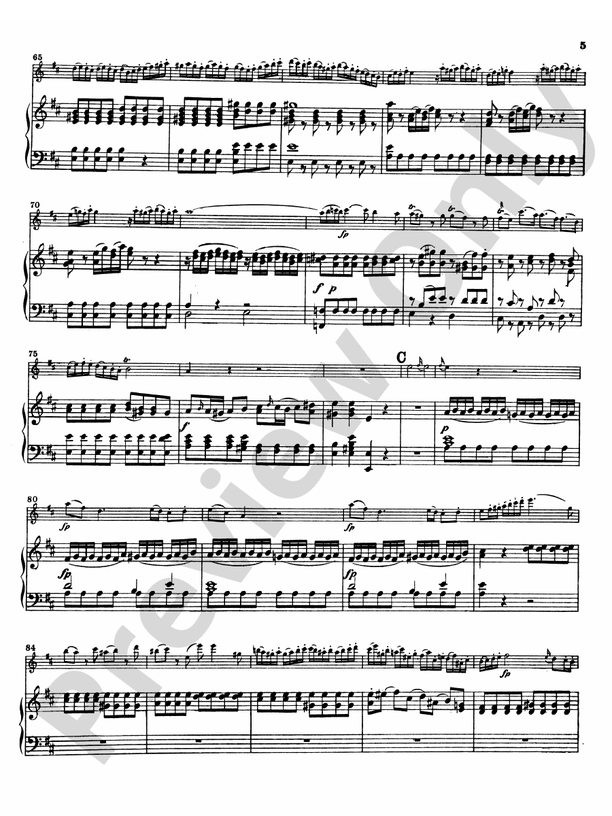 Mozart: Concerto No. 2 in D Major, K. 314: Concerto No. 2 in D