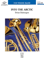 Into the Arctic