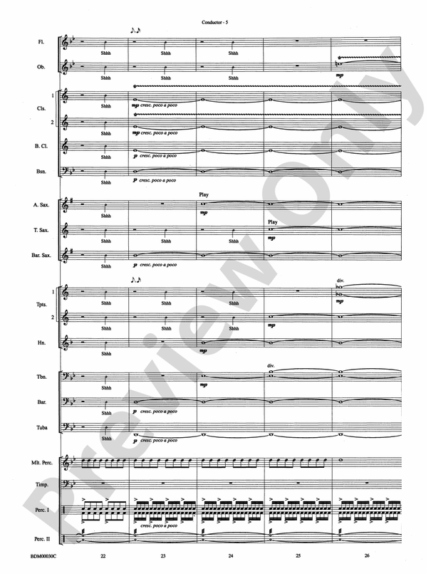 The Great Locomotive Chase