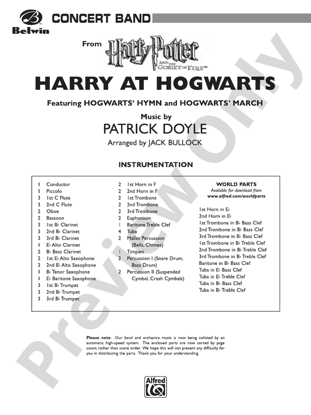Harry at Hogwarts (from Harry Potter and the Goblet of Fire)