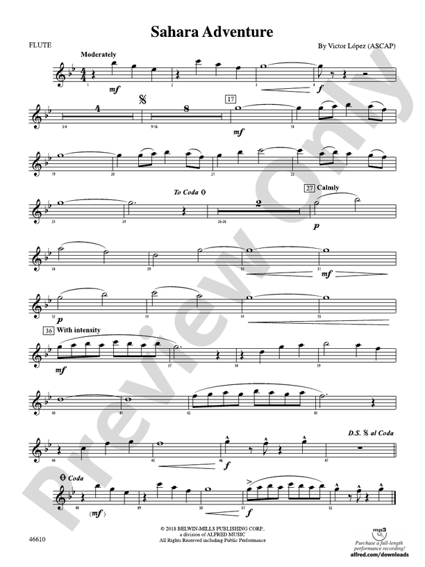 Sahara Adventure: Flute: Flute Part - Digital Sheet Music Download