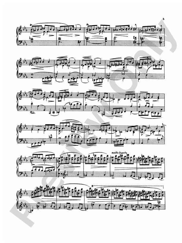 Chopin: Three Sonatas (Ed. Franz Liszt)