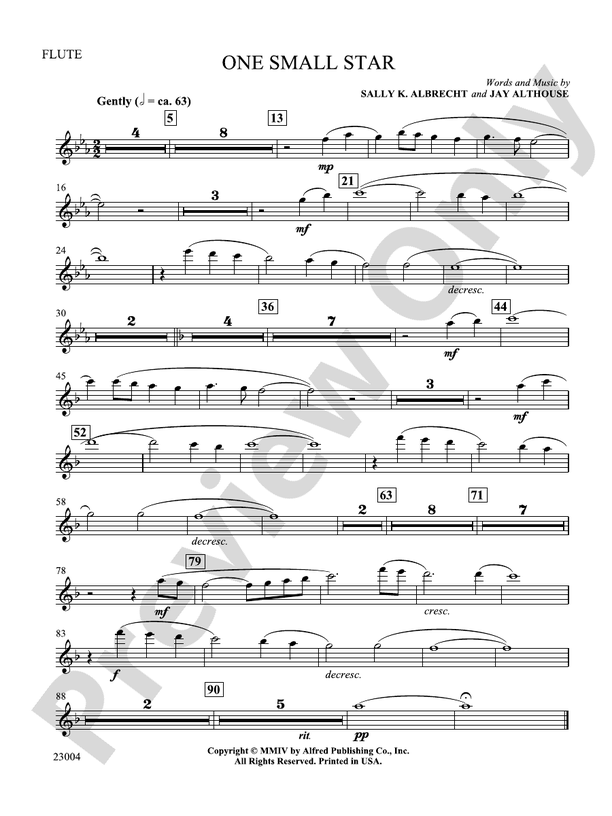 One Small Star: Flute