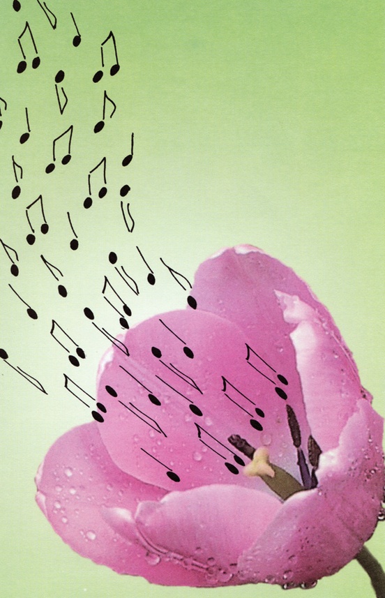 Schaum Recital Programs (Blank) #58: Musical Tulip