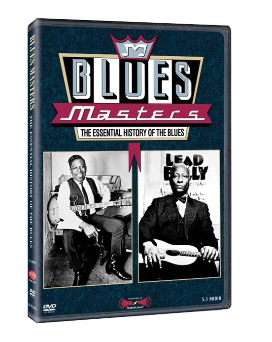 Blues Masters: The Essential History of the Blues