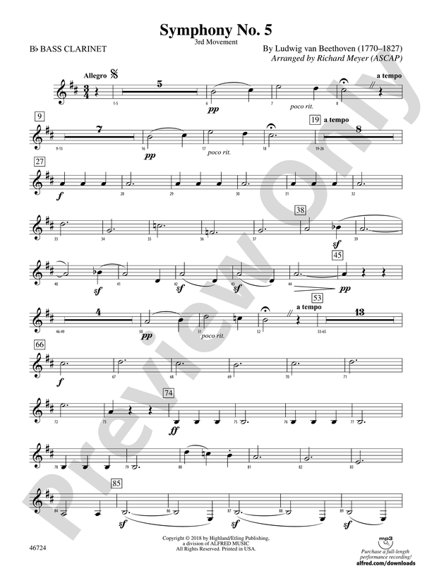 Symphony No. 5: B-flat Bass Clarinet