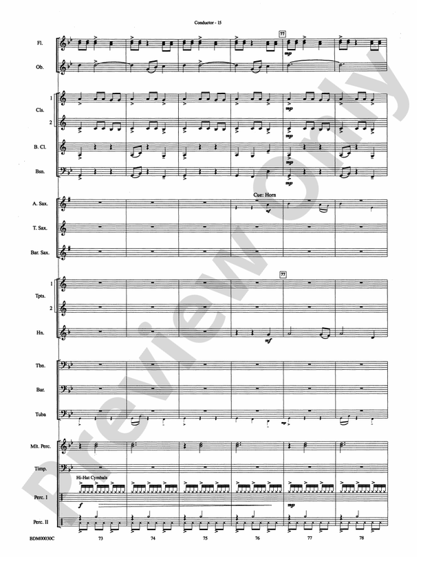 The Great Locomotive Chase