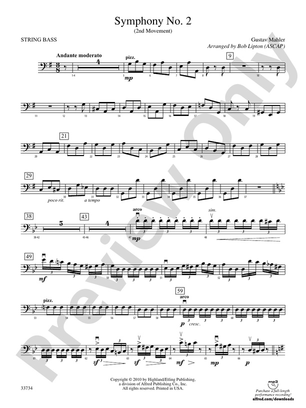 Symphony No. 2 (2nd Movement): String Bass