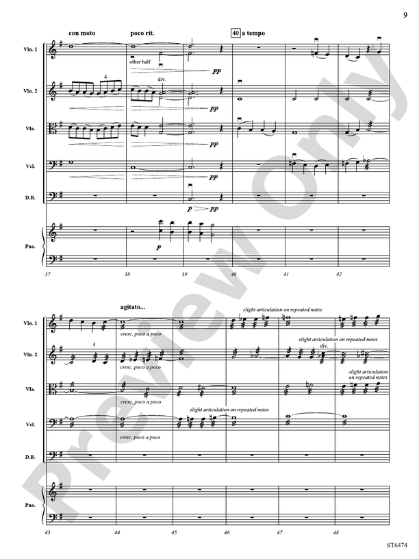 Struggle in the Shadows