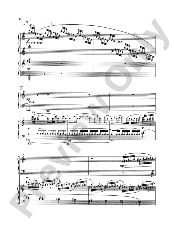 Piano Concerto No. 3 in C Major, Opus 26 - 1st Movement - Piano Duo (2 Pianos, 4 Hands)
