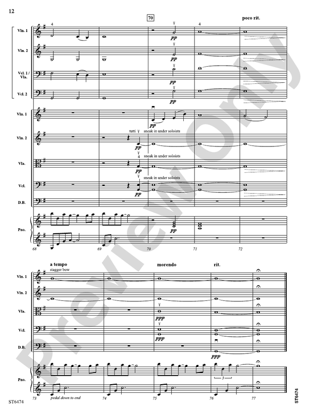 Struggle in the Shadows