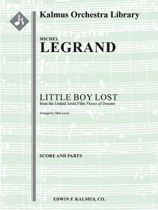 Little Boy Lost