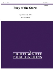 Fury of the Storm