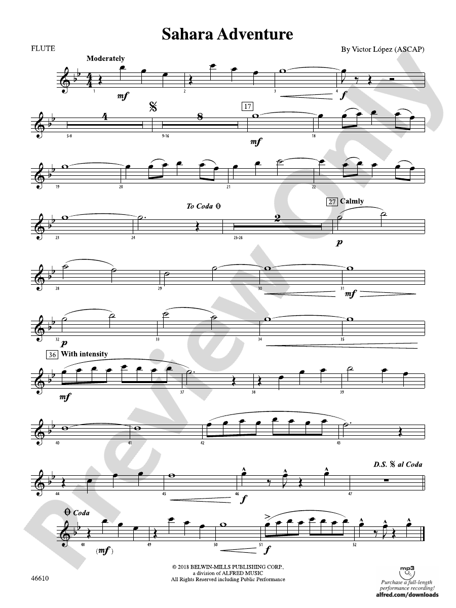 Sahara Adventure: Flute: Flute Part - Digital Sheet Music Download