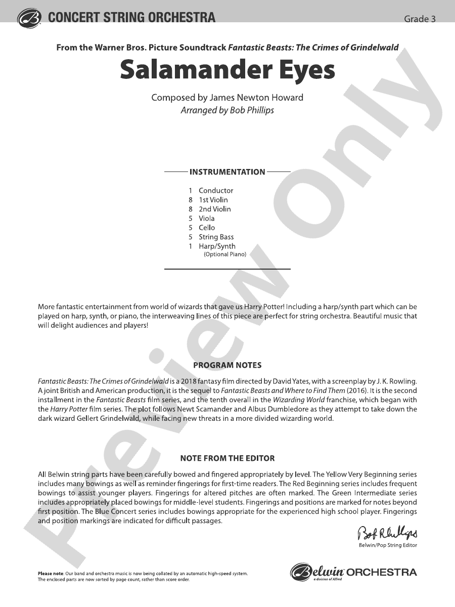 Salamander Eyes: String Orchestra Conductor Score & Parts: James Newton ...